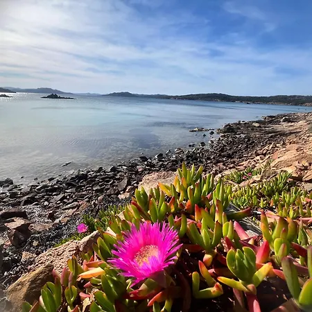 Gasthof Loft La Conchiglia 4*