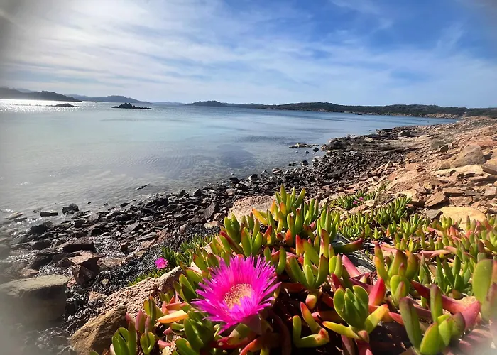 Maison d'hôtes Loft La Conchiglia 4*